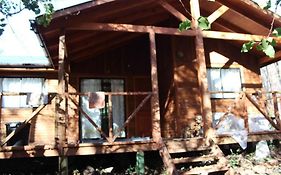 Cabaña Bosque Viejo