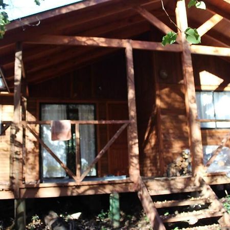 Cabana Bosque Viejo Villa Las Trancas Exterior foto