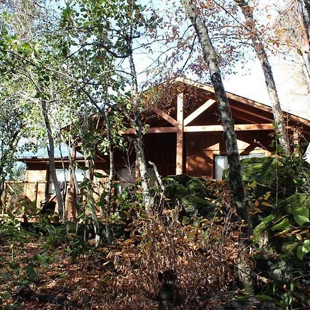 Cabana Bosque Viejo Villa Las Trancas Exterior foto