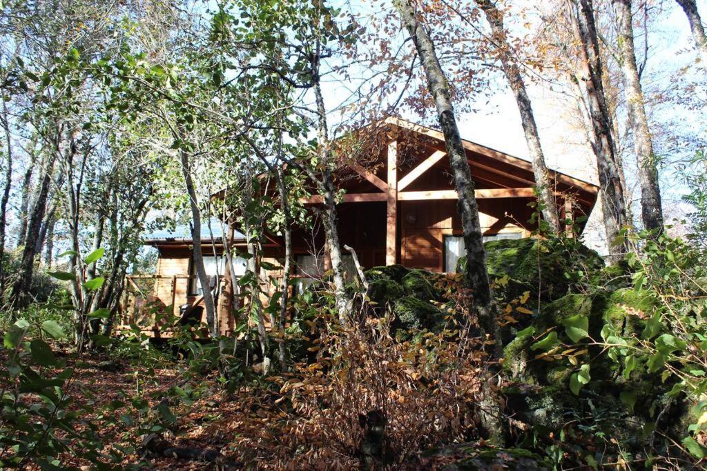 Cabana Bosque Viejo Villa Las Trancas Exterior foto